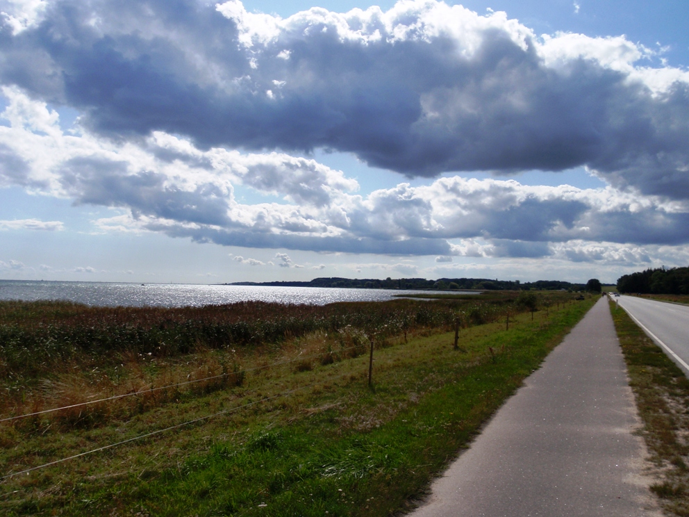 Strandvejsmarathon Marathon Pictures - Tor Rnnow