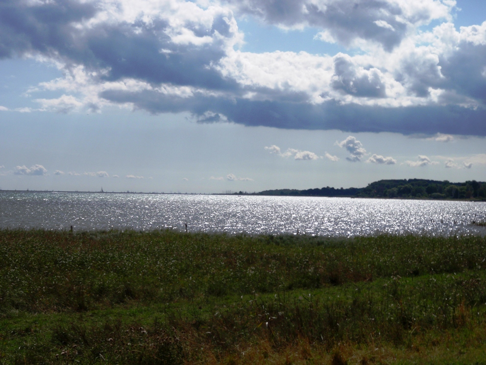 Strandvejsmarathon Marathon Pictures - Tor Rnnow