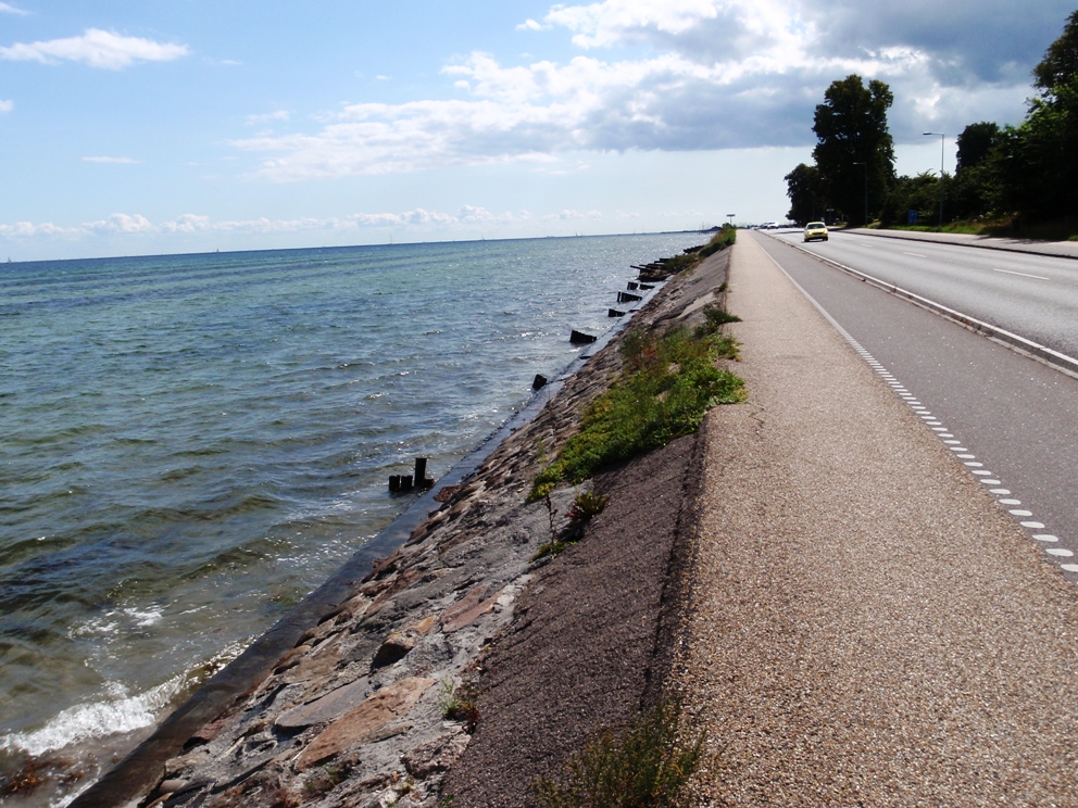 Strandvejsmarathon Marathon Pictures - Tor Rnnow