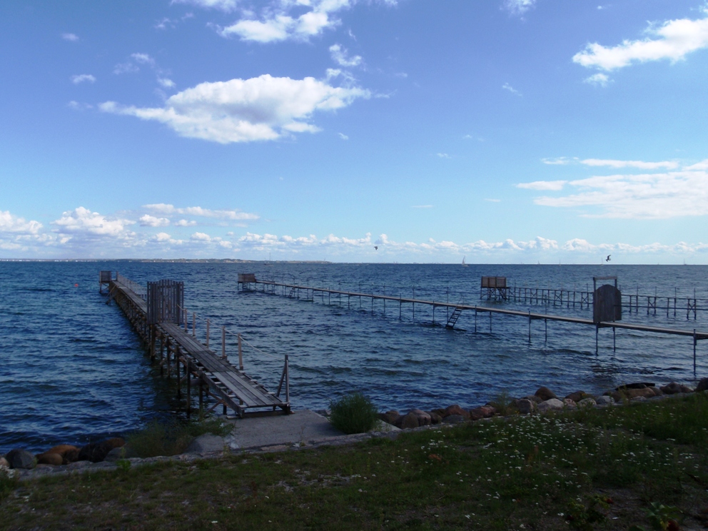 Strandvejsmarathon Marathon Pictures - Tor Rnnow