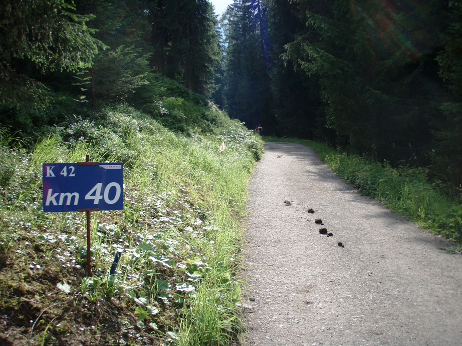 Swiss Alpine 42 K Marathon Pictures - Tor Rnnow