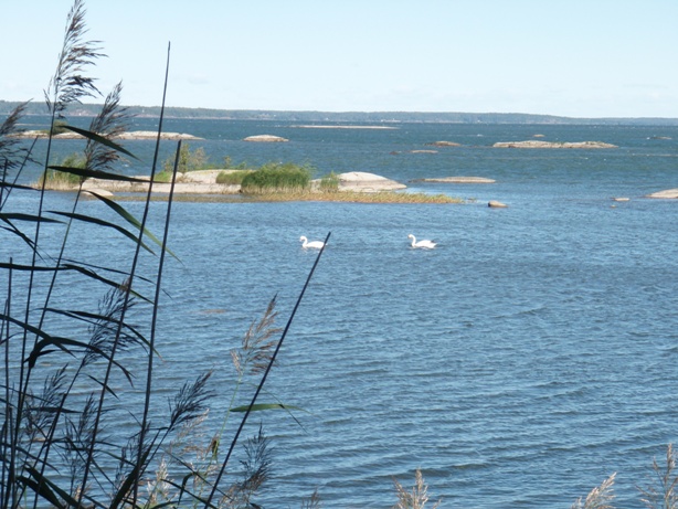 Vnersborg Marathon Pictures - Tor Rnnow