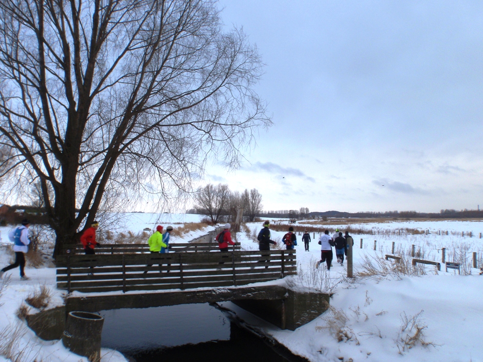 Vestegnsmarathon 13-Feb-2010 Pictures - Tor Rnnow