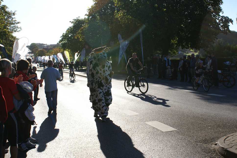 Viborg Marathon Pictures - Tor Rnnow