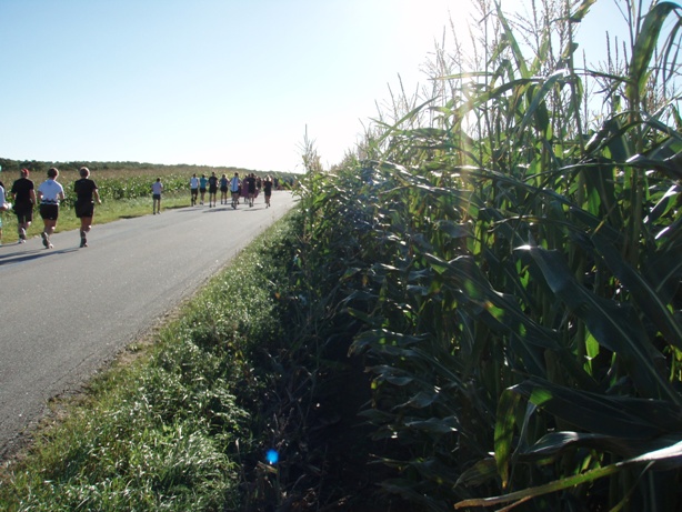 Viborg Marathon Pictures - Tor Rnnow