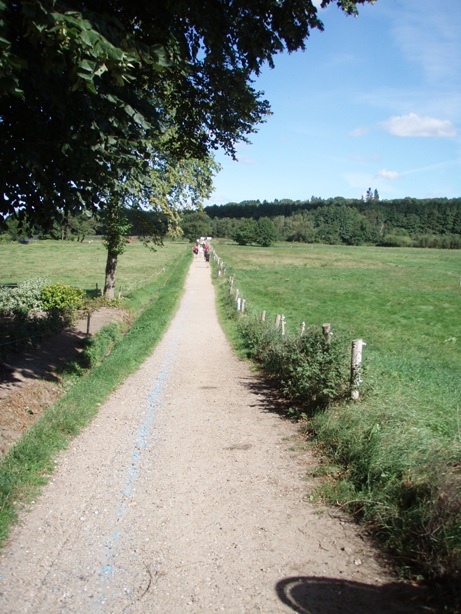 Viborg Marathon Pictures - Tor Rnnow