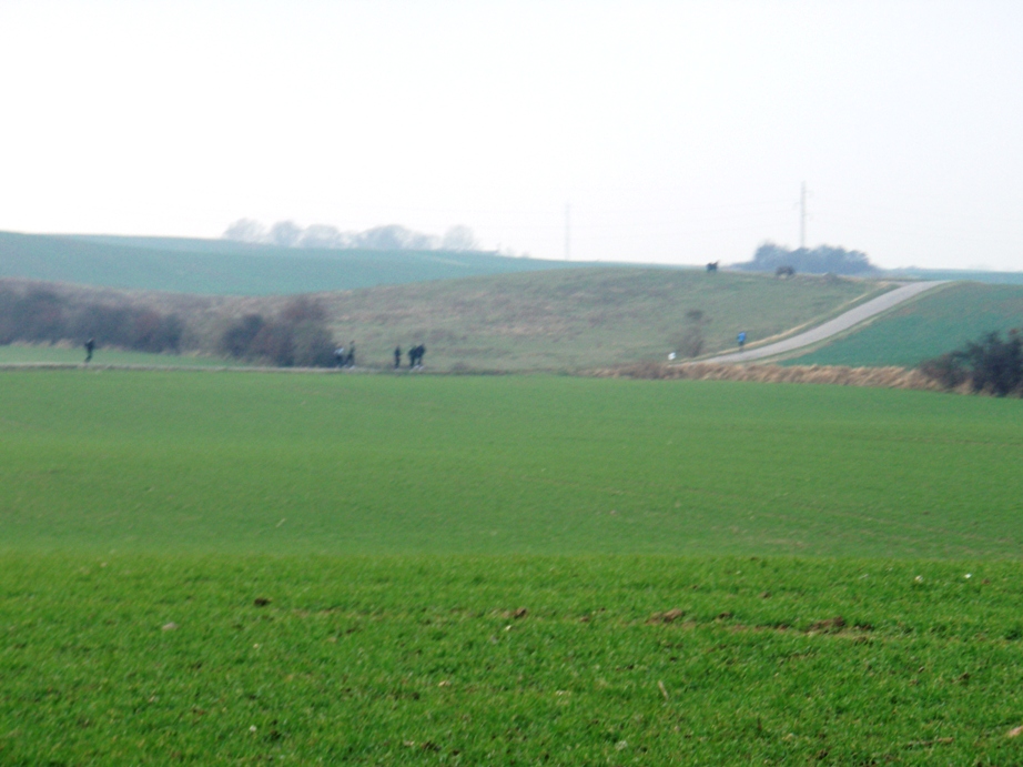 Kalundborg Vintermarathon Marathon Pictures - Tor Rnnow