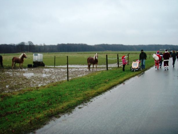 Wieneke Marathon Pictures - Tor Rnnow