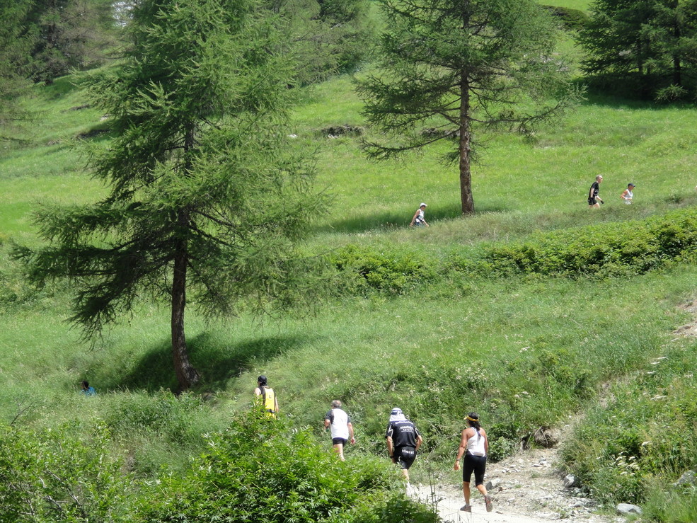 Zermatt marathon 2010 Pictures - Tor Rnnow