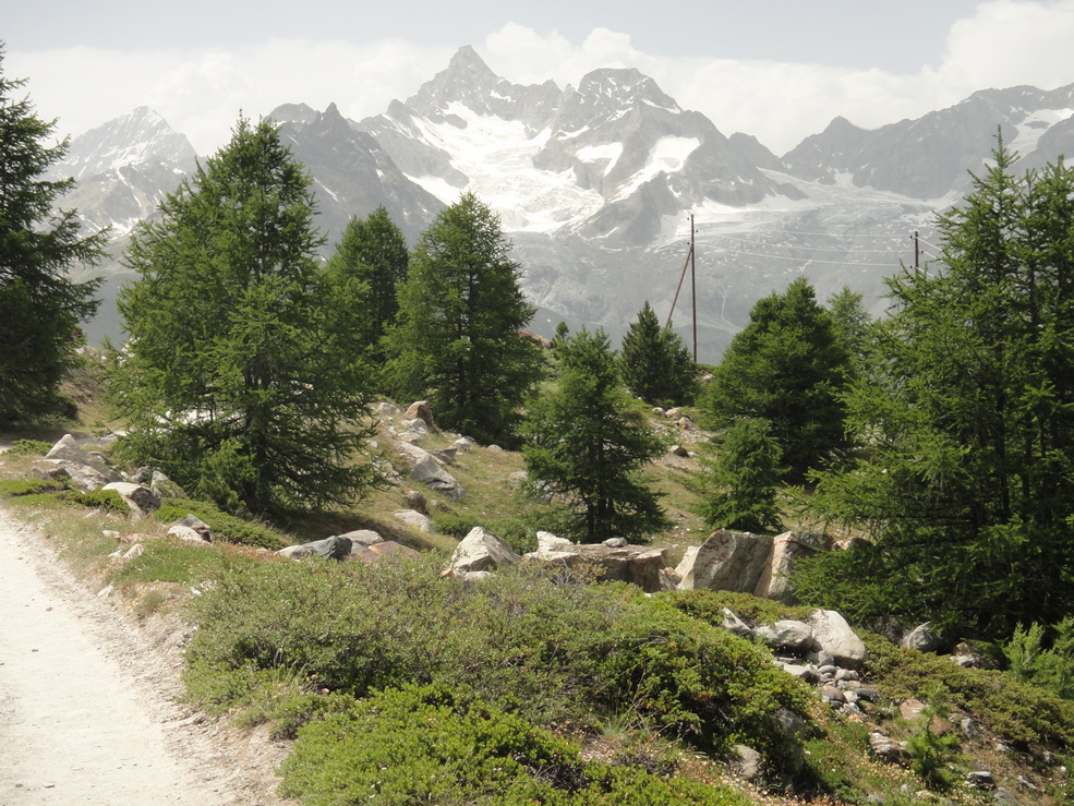 Zermatt marathon 2010 Pictures - Tor Rnnow