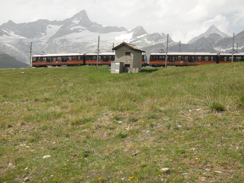 Zermatt marathon 2010 Pictures - Tor Rnnow