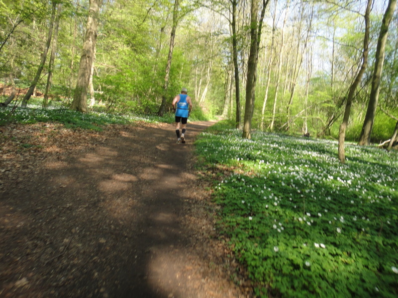 Firklver Marathon Nstved - pictures - Tor Rnnow