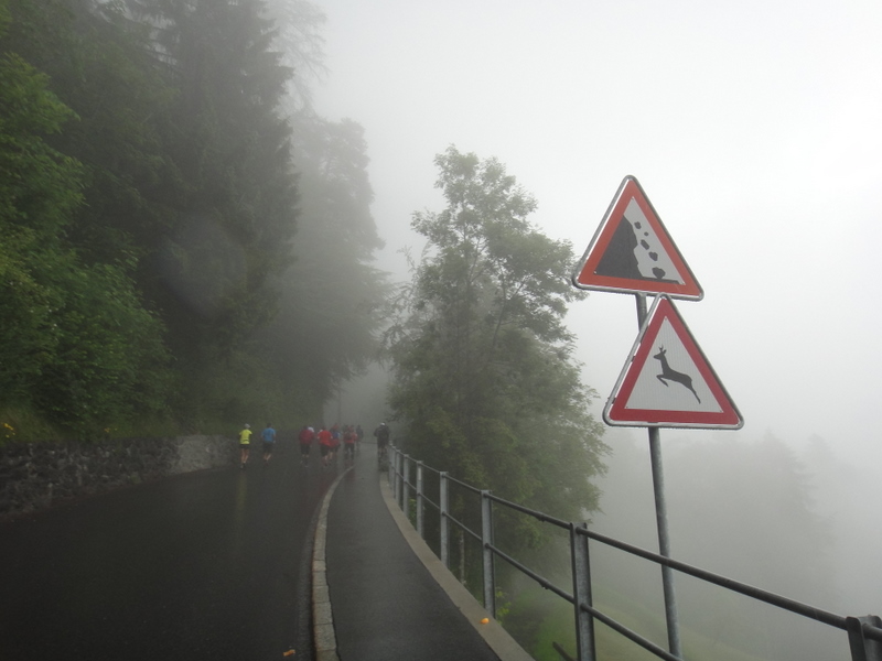 LGT Alpin Marathon 2011 - Tor Rnnow