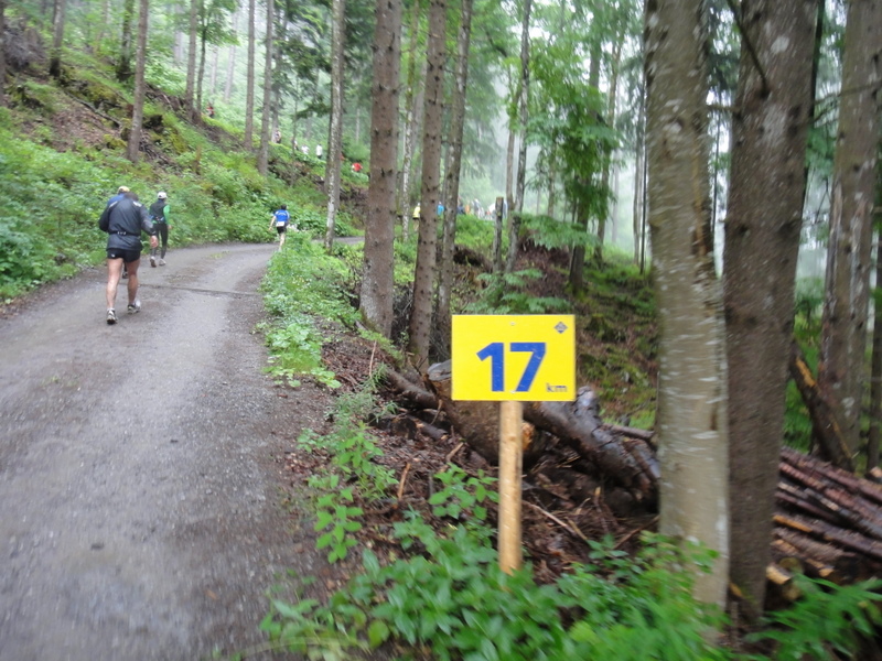 LGT Alpin Marathon 2011 - Tor Rnnow