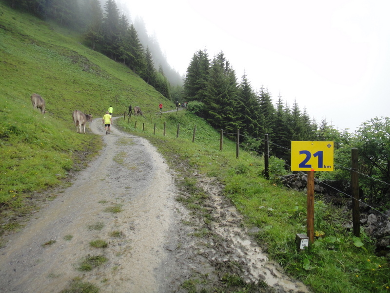 LGT Alpin Marathon 2011 - Tor Rnnow