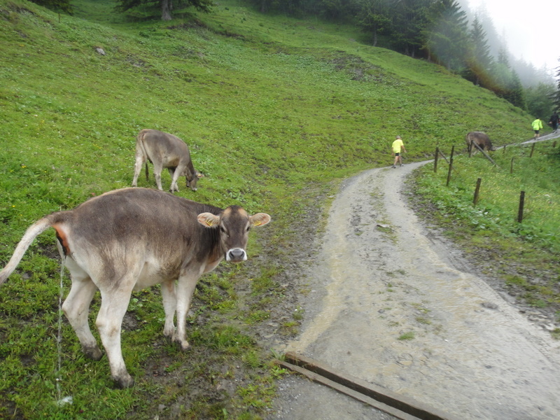 LGT Alpin Marathon 2011 - Tor Rnnow