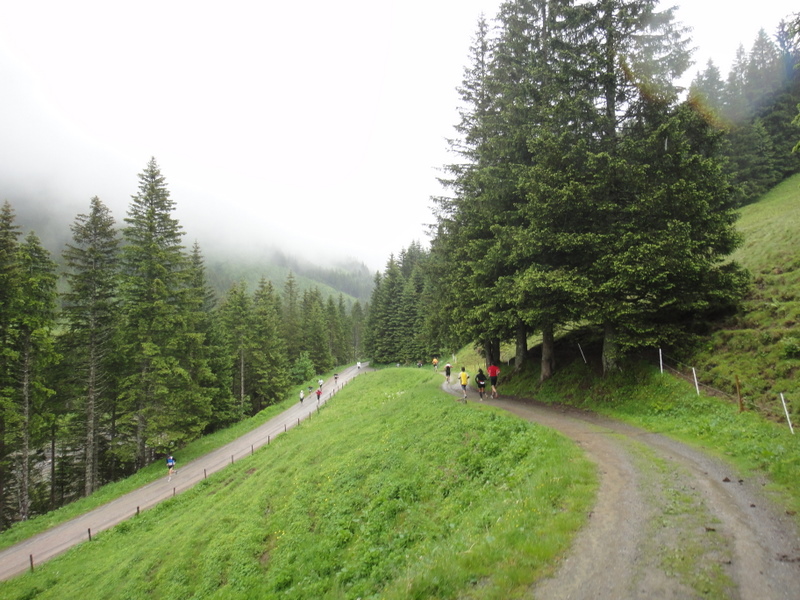 LGT Alpin Marathon 2011 - Tor Rnnow