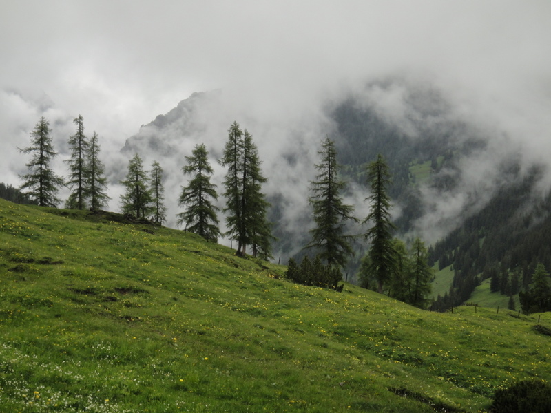 LGT Alpin Marathon 2011 - Tor Rnnow