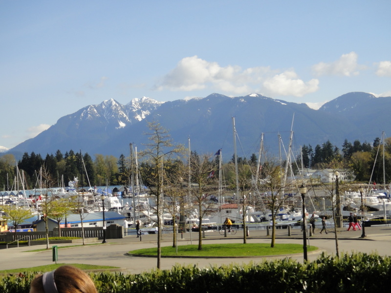 Vancouver Marathon 2011 - pictures / photos - Tor Rnnow