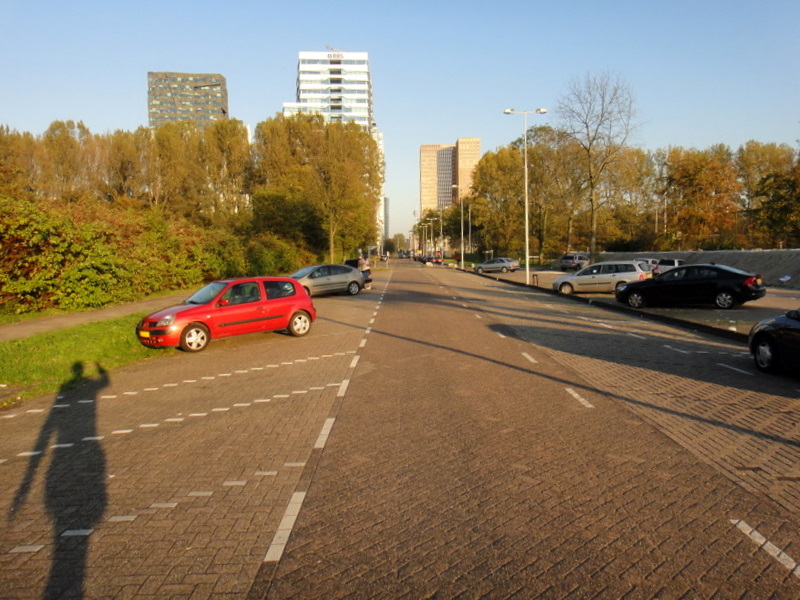 Amsterdam Marathon 2011 - pictures - Tor Rnnow