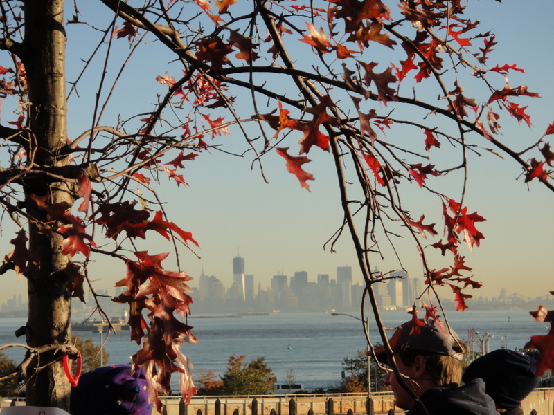 New York City Marathon 2011 - pictures