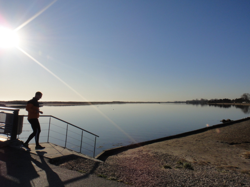 Peter Buhrs sidste marathon - pictures - Tor Rnnow