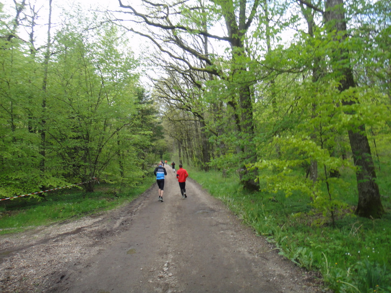 Kalkmine Marathon 2012 - pictures - Tor Rnnow