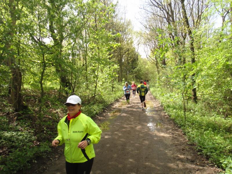 Kalkmine Marathon 2012 - pictures - Tor Rnnow