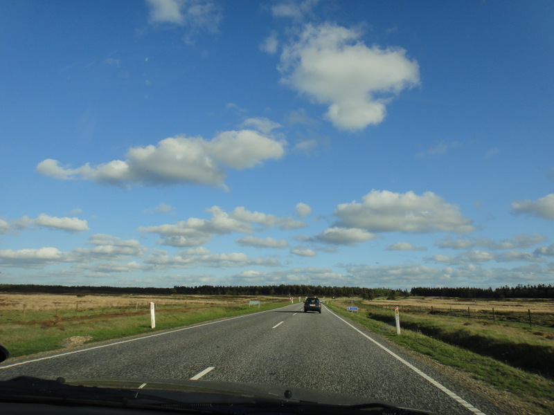 Kalkmine Marathon 2012 - pictures - Tor Rnnow