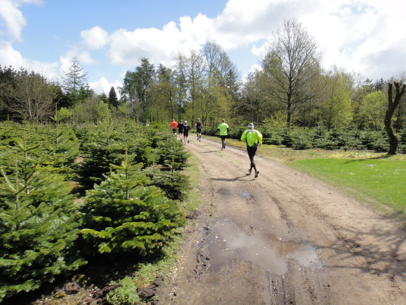 Kalkmine Marathon 2012 - pictures - Tor Rnnow