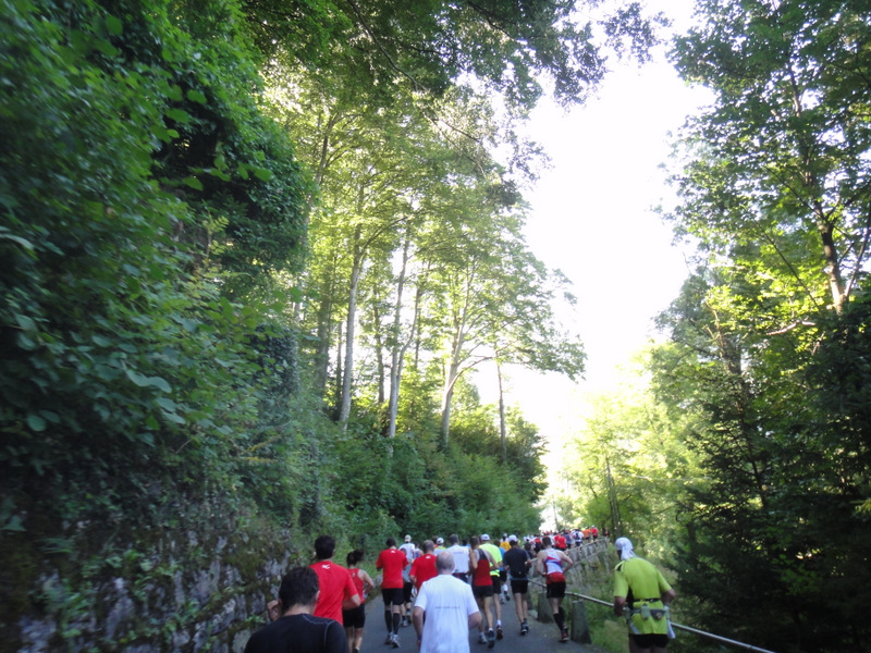 Jungfrau Marathon 2012 - Tor Rnnow