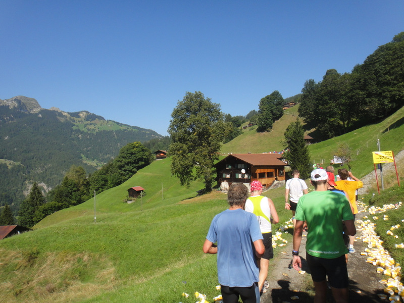 Jungfrau Marathon 2012 - Tor Rnnow