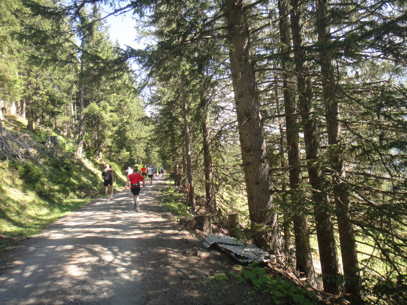 Jungfrau Marathon 2012 - Tor Rnnow