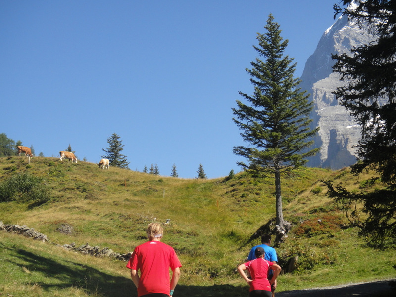 Jungfrau Marathon 2012 - Tor Rnnow