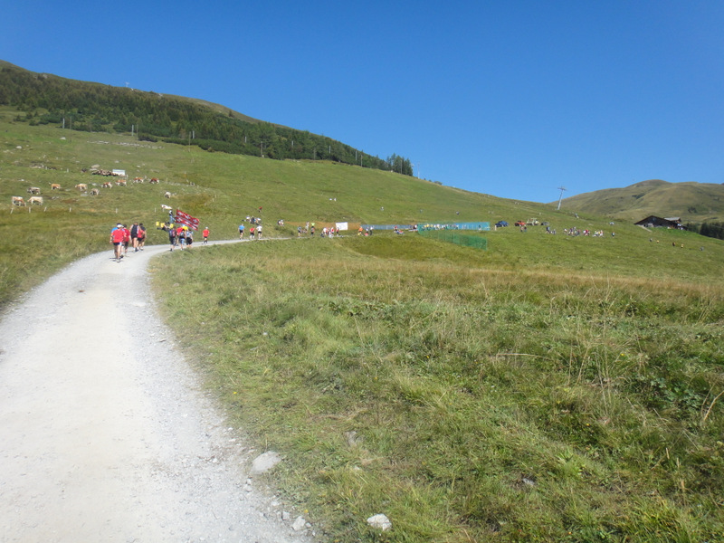 Jungfrau Marathon 2012 - Tor Rnnow