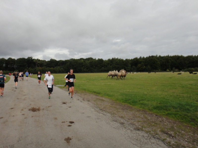 Fredskov Knuthenborg Marathon 2012 - Tor Rnnow