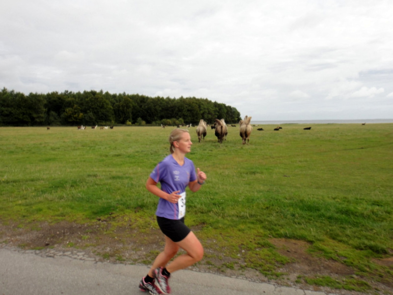 Fredskov Knuthenborg Marathon 2012 - Tor Rnnow