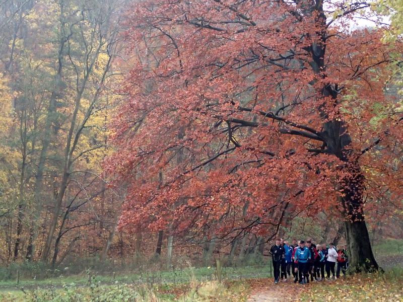 LbeMagasinet Rudersdal Marathon 2012 - Tor Rnnow