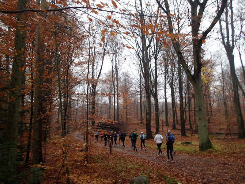 LbeMagasinet Rudersdal Marathon 2012 - Tor Rnnow