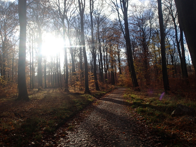 LbeMagasinet Rudersdal Marathon 2012 - Tor Rnnow