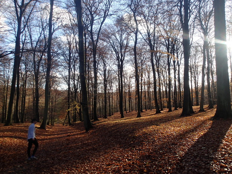 LbeMagasinet Rudersdal Marathon 2012 - Tor Rnnow