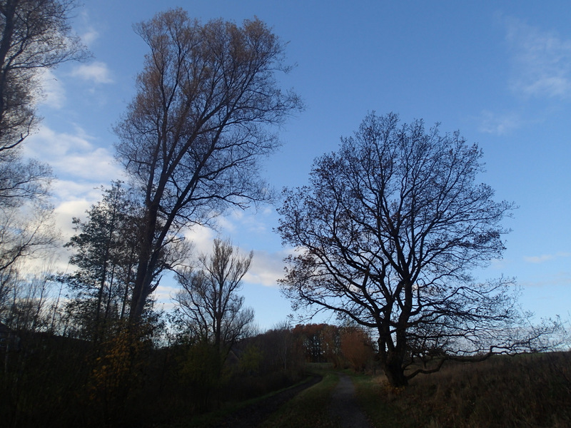 LbeMagasinet Rudersdal Marathon 2012 - Tor Rnnow