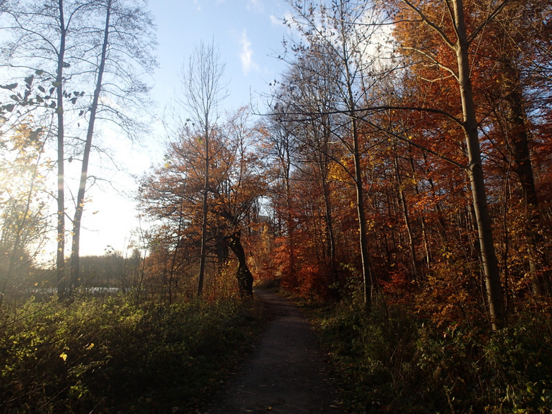 LbeMagasinet Rudersdal Marathon 2012 - Tor Rnnow