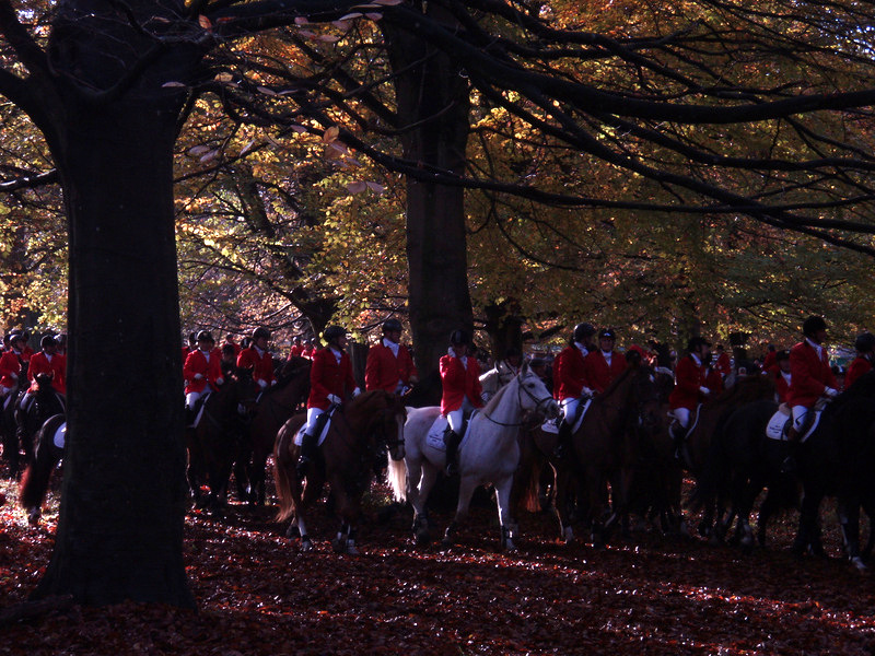 Hubertusjagt 2012 - Tor Rnnow