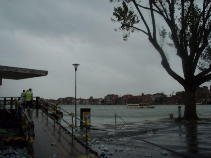 Venedig Marathon 2012 - Tor Rnnow