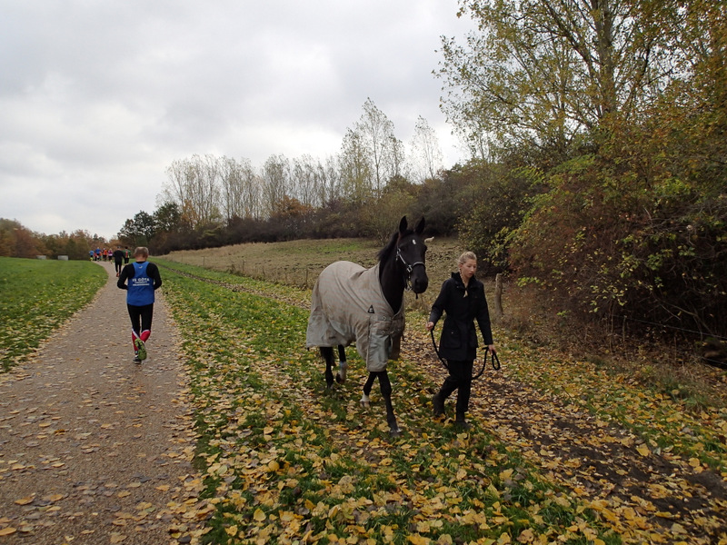 ALOT Cph 6 hour run 2013 - Tor Rnnow