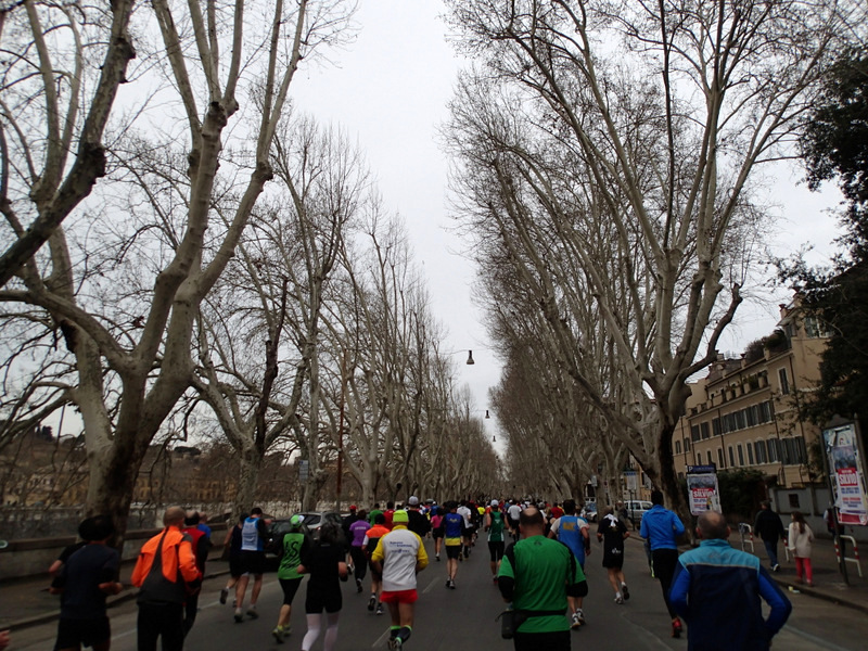 Maratona Di Roma 2013 - Tor Rnnow