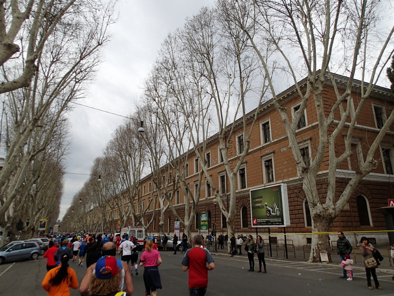 Maratona Di Roma 2013 - Tor Rnnow