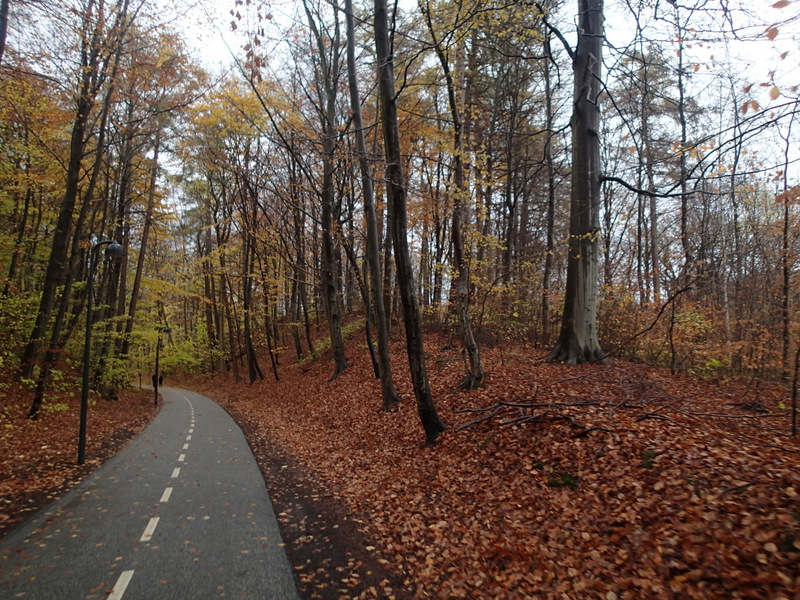 LbeMagasinet Rudersdal Marathon 2013 - Tor Rnnow