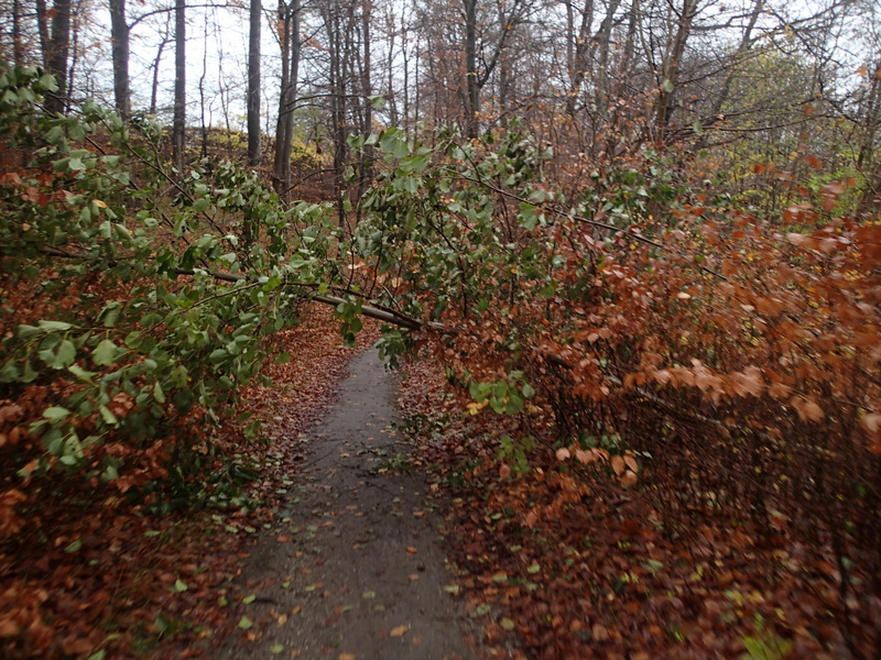 LbeMagasinet Rudersdal Marathon 2013 - Tor Rnnow